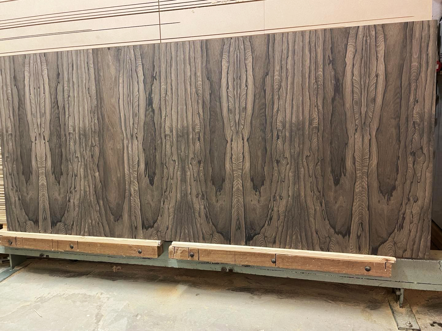 Venice Shell Panel Panels - Veneer Workshop